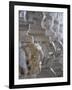 Carved Elephant Columns of Temple at Ranakpur, Rajasthan, India-David H. Wells-Framed Photographic Print