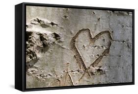 Carved Heart in Bark of a Tree-Brigitte Protzel-Framed Stretched Canvas