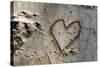 Carved Heart in Bark of a Tree-Brigitte Protzel-Stretched Canvas