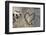 Carved Heart in Bark of a Tree-Brigitte Protzel-Framed Photographic Print