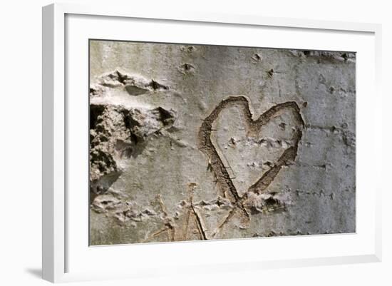 Carved Heart in Bark of a Tree-Brigitte Protzel-Framed Photographic Print