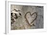 Carved Heart in Bark of a Tree-Brigitte Protzel-Framed Photographic Print