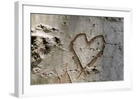 Carved Heart in Bark of a Tree-Brigitte Protzel-Framed Photographic Print