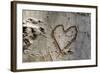 Carved Heart in Bark of a Tree-Brigitte Protzel-Framed Photographic Print