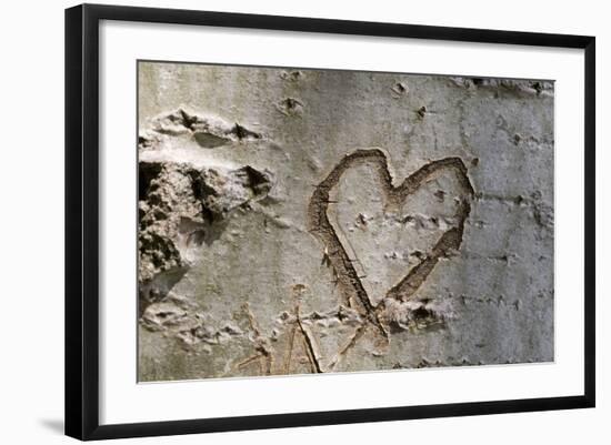 Carved Heart in Bark of a Tree-Brigitte Protzel-Framed Photographic Print