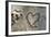 Carved Heart in Bark of a Tree-Brigitte Protzel-Framed Photographic Print