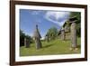 Carved Hives-null-Framed Photographic Print