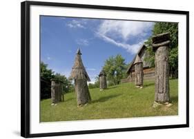 Carved Hives-null-Framed Photographic Print