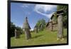 Carved Hives-null-Framed Photographic Print