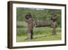 Carved Hives-null-Framed Photographic Print