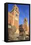 Carved lions, Arsenale entrance (naval shipyard), in winter afternoon sun, Castello, Venice, UNESCO-Eleanor Scriven-Framed Stretched Canvas