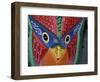 Carved, Painted Handcrafts, San Jose, Costa Rica-Cindy Miller Hopkins-Framed Photographic Print