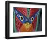 Carved, Painted Handcrafts, San Jose, Costa Rica-Cindy Miller Hopkins-Framed Photographic Print