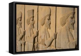 Carved relief of Royal Persian Guards, Apadana Palace, Persepolis, UNESCO World Heritage Site, Iran-James Strachan-Framed Stretched Canvas