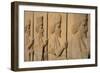 Carved relief of Royal Persian Guards, Apadana Palace, Persepolis, UNESCO World Heritage Site, Iran-James Strachan-Framed Photographic Print