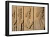 Carved relief of Royal Persian Guards, Apadana Palace, Persepolis, UNESCO World Heritage Site, Iran-James Strachan-Framed Photographic Print