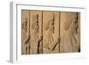 Carved relief of Royal Persian Guards, Apadana Palace, Persepolis, UNESCO World Heritage Site, Iran-James Strachan-Framed Photographic Print