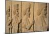 Carved relief of Royal Persian Guards, Apadana Palace, Persepolis, UNESCO World Heritage Site, Iran-James Strachan-Mounted Photographic Print