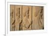 Carved relief of Royal Persian Guards, Apadana Palace, Persepolis, UNESCO World Heritage Site, Iran-James Strachan-Framed Photographic Print