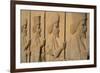 Carved relief of Royal Persian Guards, Apadana Palace, Persepolis, UNESCO World Heritage Site, Iran-James Strachan-Framed Photographic Print