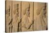 Carved relief of Royal Persian Guards, Apadana Palace, Persepolis, UNESCO World Heritage Site, Iran-James Strachan-Stretched Canvas