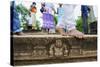 Carved Steps Detail, Mahasens Palace, Anuradhapura, UNESCO World Heritage Site, Sri Lanka, Asia-Christian Kober-Stretched Canvas