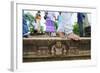 Carved Steps Detail, Mahasens Palace, Anuradhapura, UNESCO World Heritage Site, Sri Lanka, Asia-Christian Kober-Framed Photographic Print