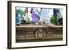 Carved Steps Detail, Mahasens Palace, Anuradhapura, UNESCO World Heritage Site, Sri Lanka, Asia-Christian Kober-Framed Photographic Print