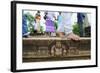 Carved Steps Detail, Mahasens Palace, Anuradhapura, UNESCO World Heritage Site, Sri Lanka, Asia-Christian Kober-Framed Photographic Print