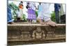 Carved Steps Detail, Mahasens Palace, Anuradhapura, UNESCO World Heritage Site, Sri Lanka, Asia-Christian Kober-Mounted Photographic Print