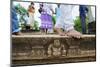 Carved Steps Detail, Mahasens Palace, Anuradhapura, UNESCO World Heritage Site, Sri Lanka, Asia-Christian Kober-Mounted Photographic Print