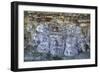 Carved Stone Masks, Temple of Masks, Edzna-Richard Maschmeyer-Framed Photographic Print