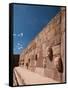 Carved Stone Tenon-Heads in a Wall of a Semi-Subterranean Temple in Tiwanaku-Alex Saberi-Framed Stretched Canvas