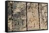Carved stonework on the Temple of the Warriors at the ancient Mayan city of Chichen Itza, in Yuc...-null-Framed Stretched Canvas