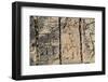 Carved stonework on the Temple of the Warriors at the ancient Mayan city of Chichen Itza, in Yuc...-null-Framed Photographic Print