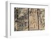 Carved stonework on the Temple of the Warriors at the ancient Mayan city of Chichen Itza, in Yuc...-null-Framed Photographic Print