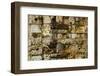 Carved stonework on the Temple of the Warriors at the ancient Mayan city of Chichen Itza, in Yuc...-null-Framed Photographic Print