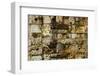 Carved stonework on the Temple of the Warriors at the ancient Mayan city of Chichen Itza, in Yuc...-null-Framed Photographic Print