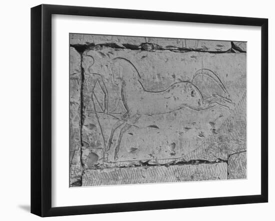 Carving of a Horse on Wall of Temple of Ramses II at Abydos-null-Framed Photographic Print