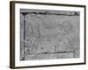 Carving of a Horse on Wall of Temple of Ramses II at Abydos-null-Framed Photographic Print
