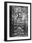 Carving of a Mermaid, Zennor Church, Cornwall, England-Simon Marsden-Framed Giclee Print