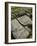 Carving on Stone at the Roman Archaeological Site-Simon Montgomery-Framed Photographic Print