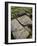 Carving on Stone at the Roman Archaeological Site-Simon Montgomery-Framed Photographic Print