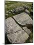Carving on Stone at the Roman Archaeological Site-Simon Montgomery-Mounted Photographic Print