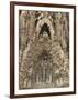 Carvings on Facade of Sagrada Familia Temple, UNESCO World Heritage Site, Barcelona, Spain-Rolf Richardson-Framed Photographic Print