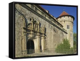 Carvings over the Entrance to Castle Hohentubingen at Tubingen in Baden Wurttemberg, Germany-Hans Peter Merten-Framed Stretched Canvas