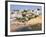 Carvoeiro, Algarve, Portugal, Europe-Amanda Hall-Framed Photographic Print