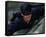 Cary Elwes-null-Framed Stretched Canvas