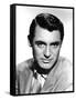 Cary Grant (b/w photo)-null-Framed Stretched Canvas