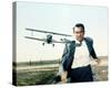 Cary Grant, North by Northwest, 1959-null-Stretched Canvas